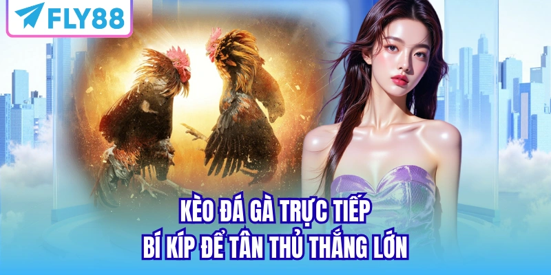 kèo đá gà trực tiếp