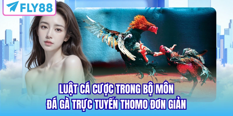 Luật cá cược trong bộ môn đá gà trực tuyến thomo đơn giản
